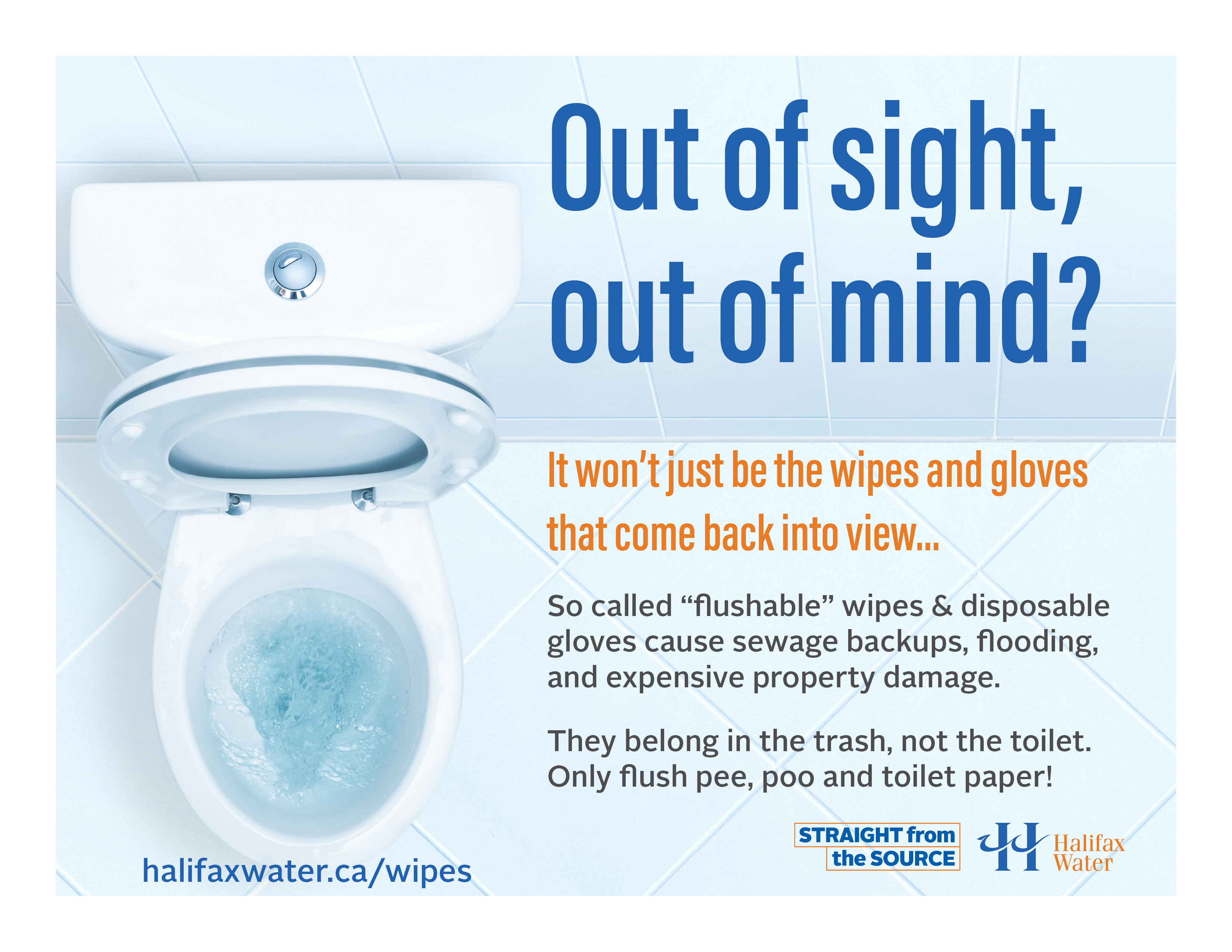 Don't Flush Wipes or Gloves - Posters - 8.5in x 11in - 3