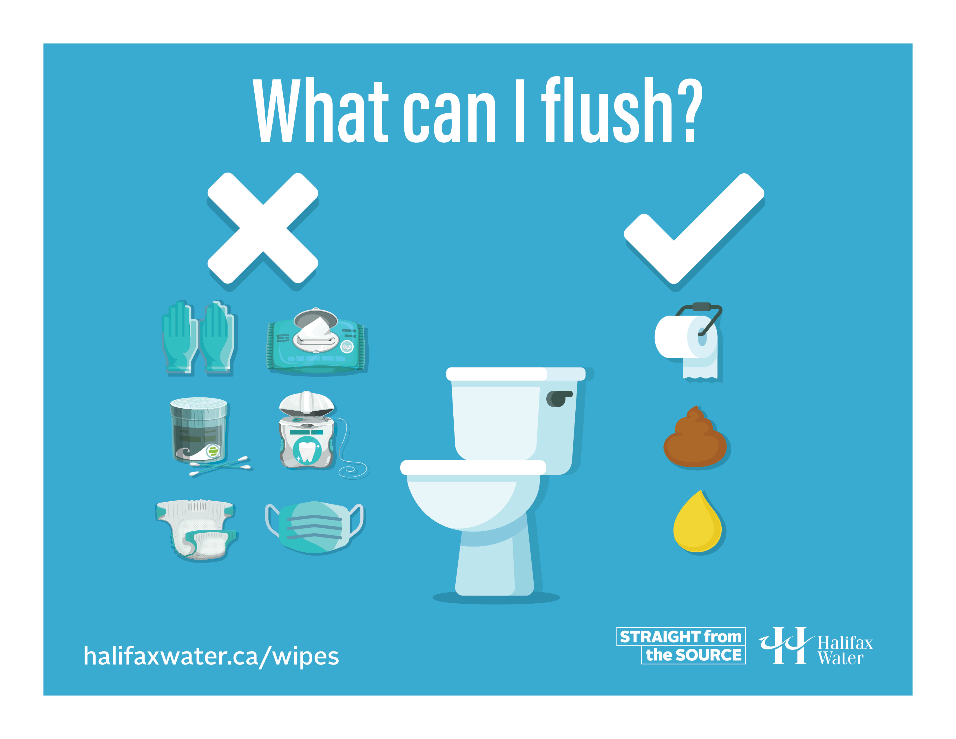 Don't Flush Wipes or Gloves - Posters - 8.5in x 11in - 5