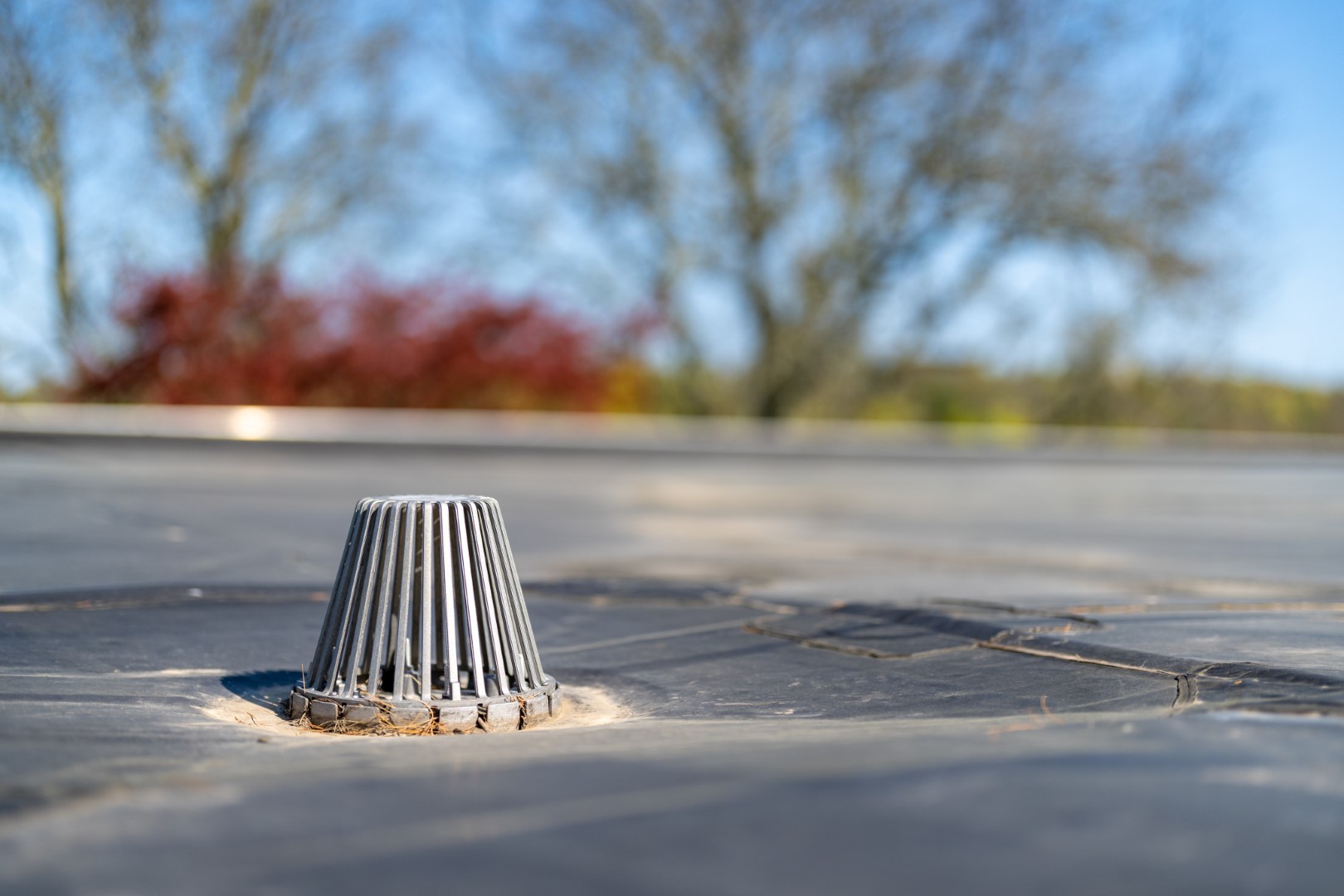 Flat roof drain