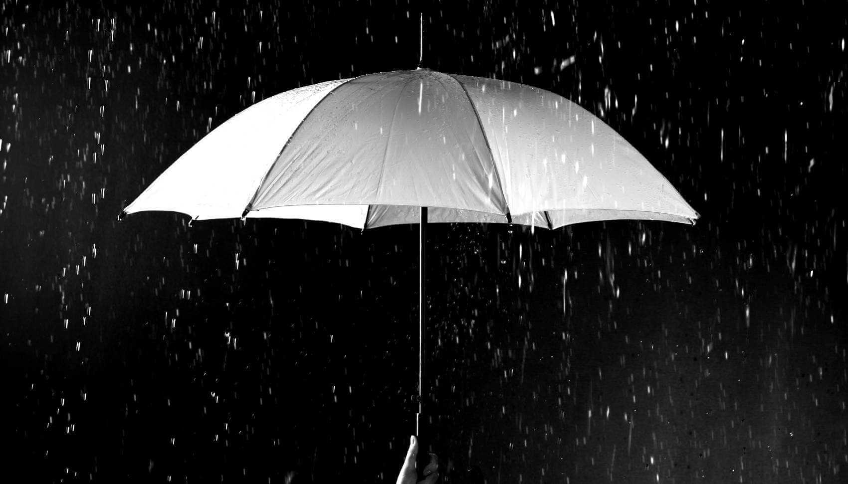 Banner Image - Alert - PSA - Umbrella in Rain