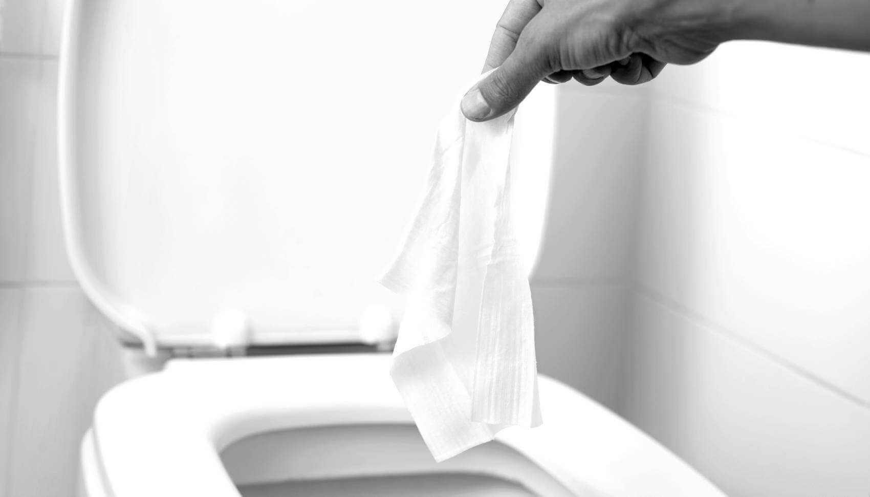 Banner Image - Flushing a Wipe - Don't Dump It