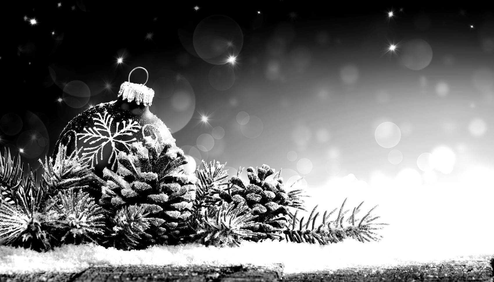 Banner Image - Holiday Theme