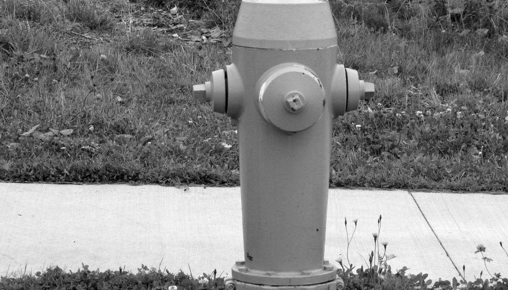 Typical fire hydrant found throughout Halifax Municipality
