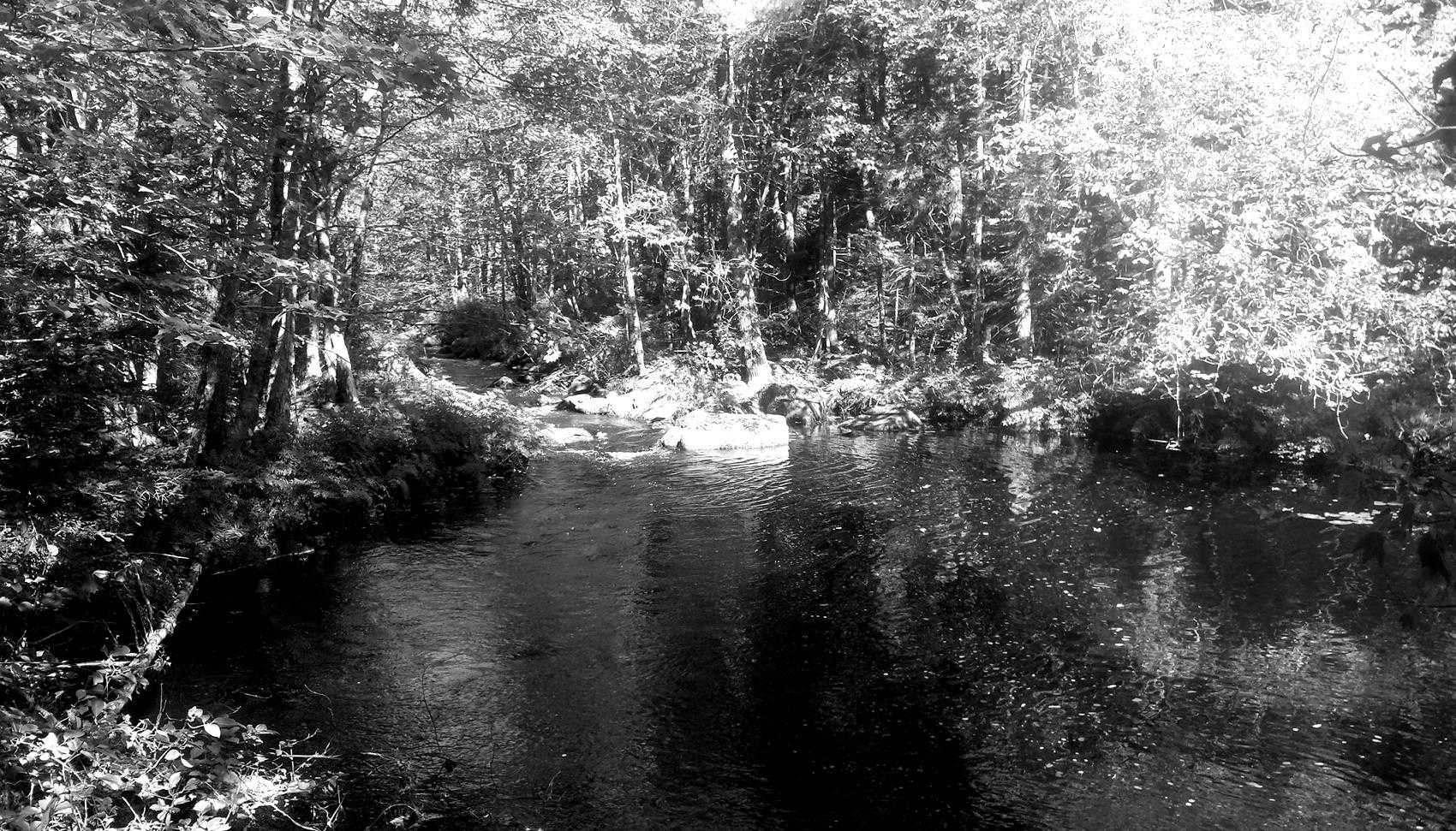 A Natural Pool of Water