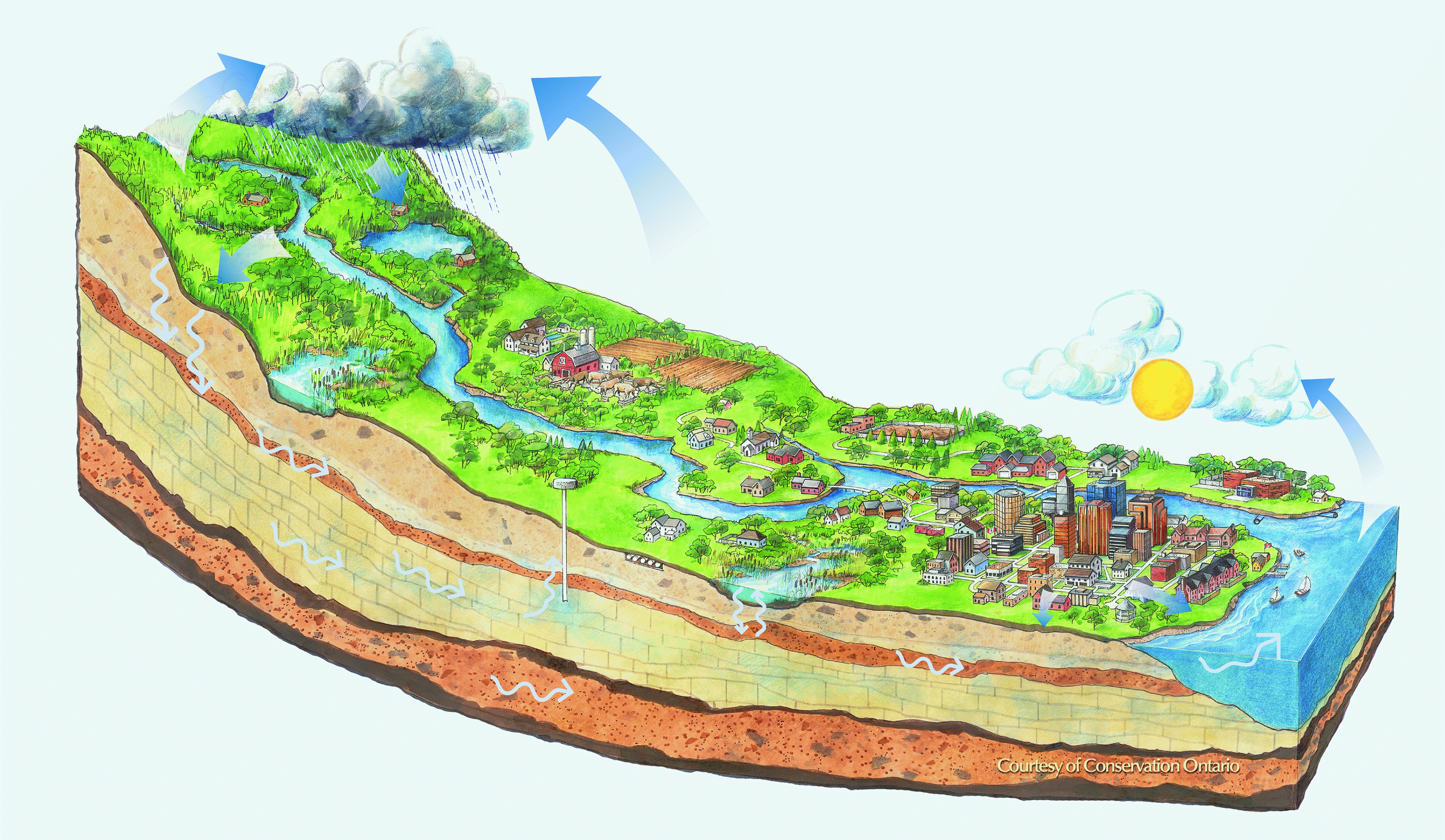 Watershed Cross Section