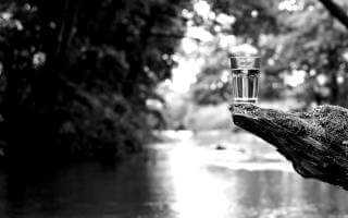 Glass of Water in a Natural Water Source