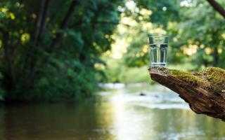 Glass of Water in a Natural Water Source