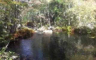 A Natural Pool of Water