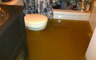 Sewage backup inside a basement bathroom