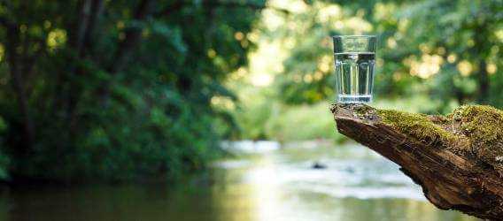 Glass of Water in a Natural Water Source