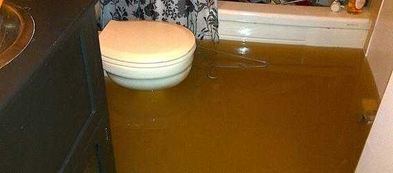 Sewage backup inside a basement bathroom
